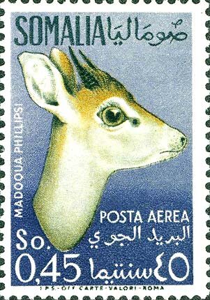 Stamp